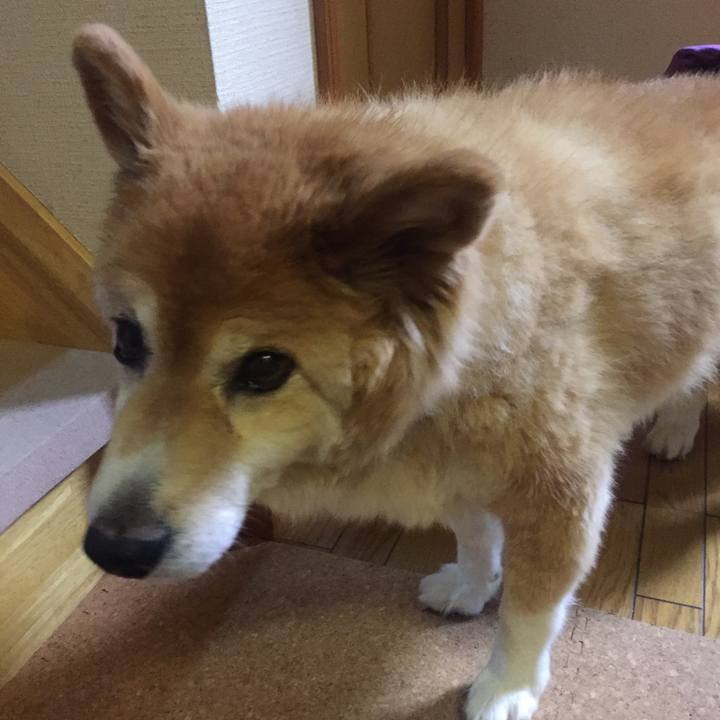 4da88970 8843 4515 9bd1 b18b5c9bf229