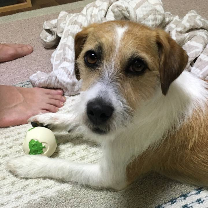 4da92e64 e506 4ea5 94cb a10bf5e3da73