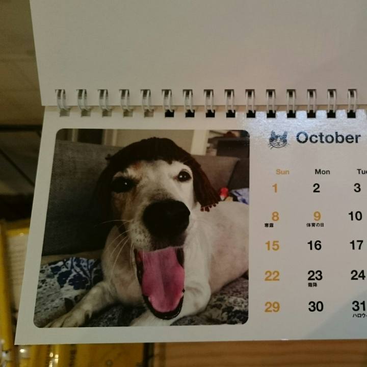 4da9aa33 6a91 46fa a137 dba0f57cd064