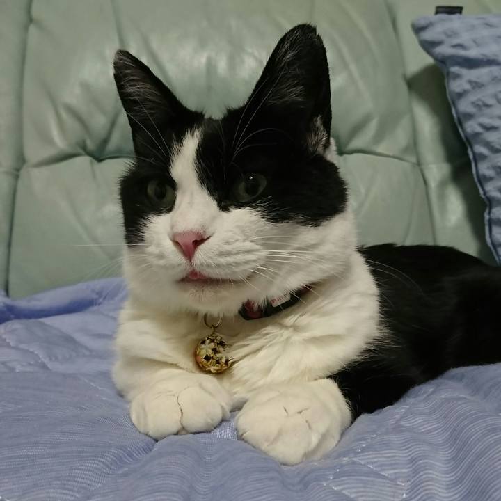 4daa0ef6 7ca8 4bcd 8016 cba5a402e58a