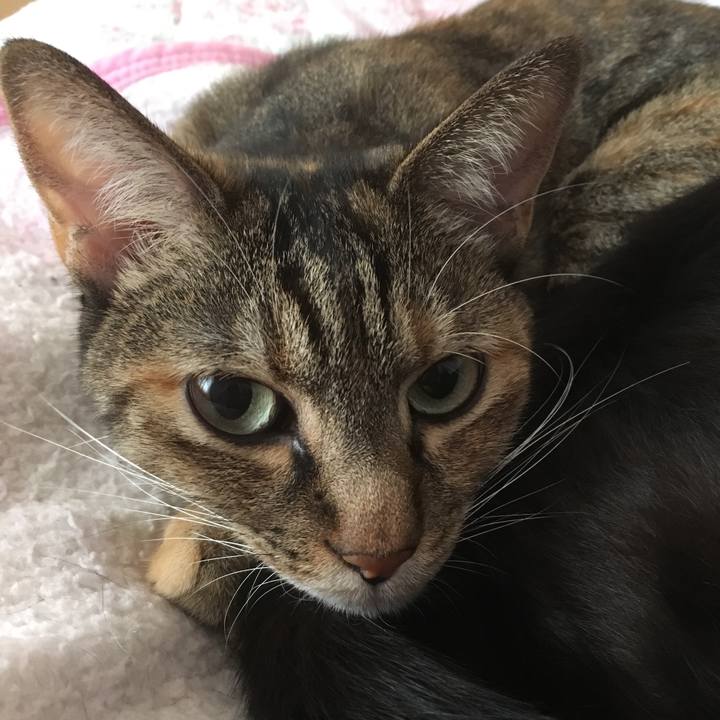 4daa4896 54b4 4ab0 b469 202eac09c0fa