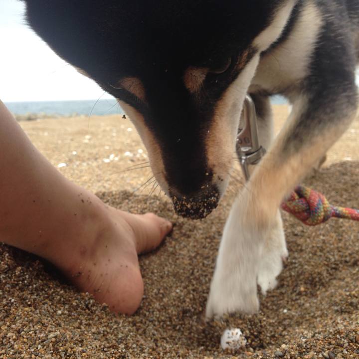 4dab17a3 4d75 4c29 a230 6ea95d6a2679