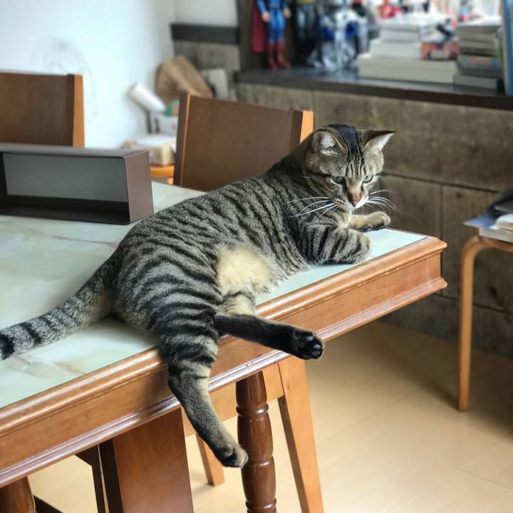 4dab8189 4736 4e50 a392 74f73d4bf9e5