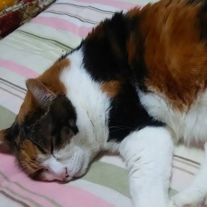 4dabca0b 17ac 4f82 a392 d56f441fddd0