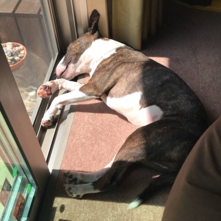 4dabfcc2 5383 436f bcb1 523412529fb7