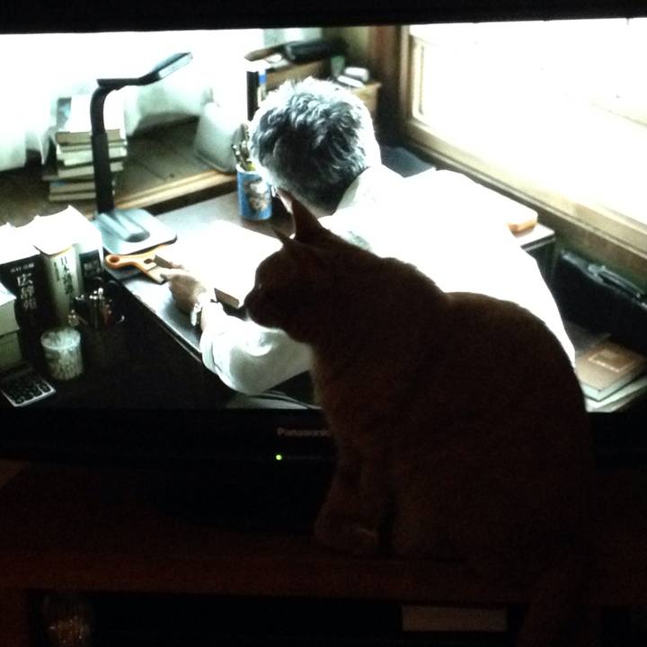 4dac08c5 a062 497c 9963 d27718e47394