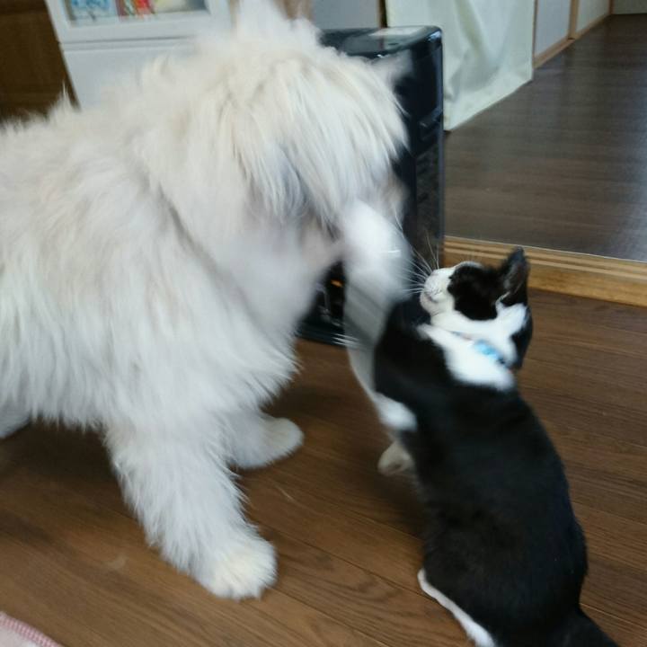 4dacc9ee a923 42b1 9474 e50a9fcf6379