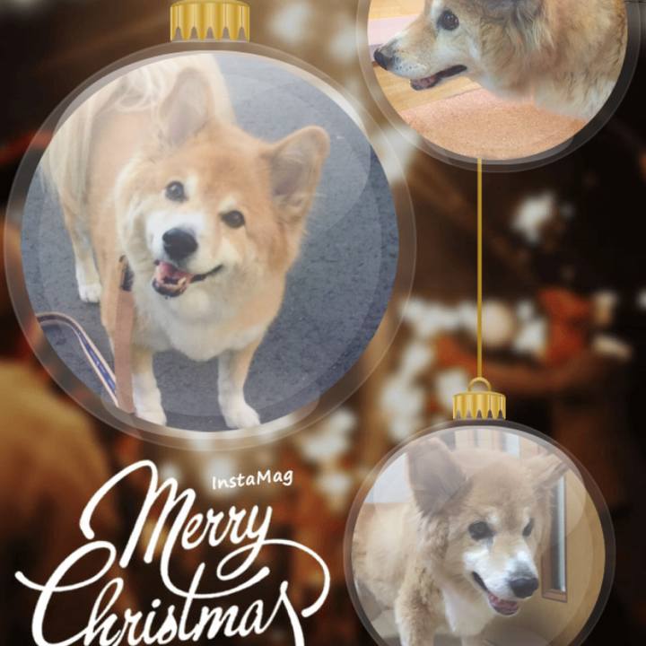 4dad1491 57e2 4ec5 9768 2ad5cc90466b