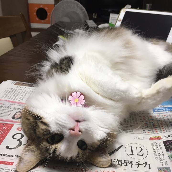 4dad842f 0bf1 4c18 84f7 348710fa1323