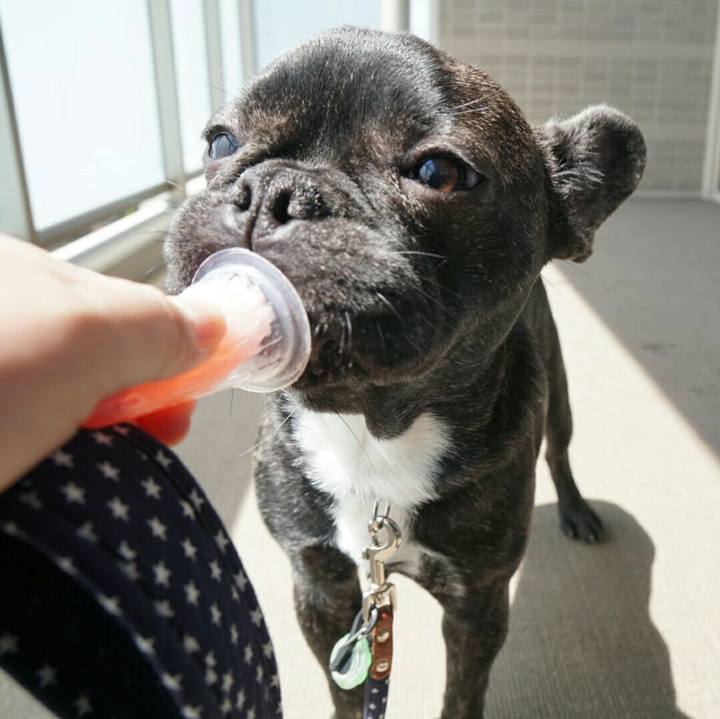 4dadccd2 7396 4156 aa3b 4d36adeb9bfb