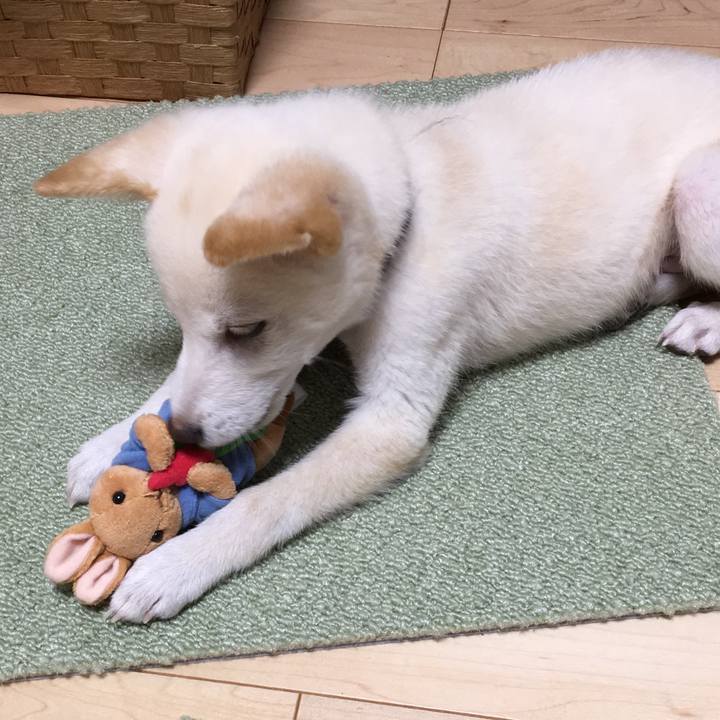 4daef686 b068 4f6b 9835 c85505d80e90