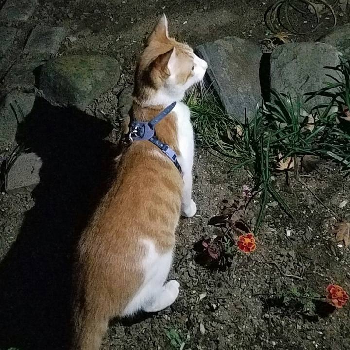 4daf5021 b3c7 44e4 90d1 47814f7b0294