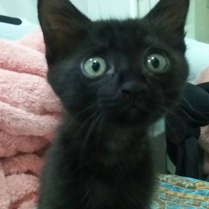 4dafa451 e2b9 40a3 842e e280459eb110