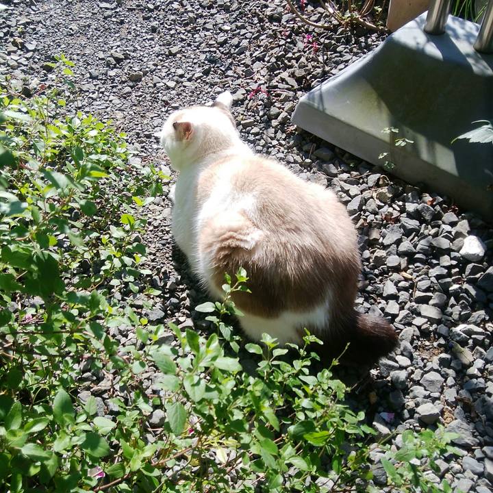 4db016dd c10a 457f 8a0d f1dc701c7db1