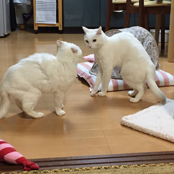 4db067de 306f 45f3 a16c 2205e94faef5