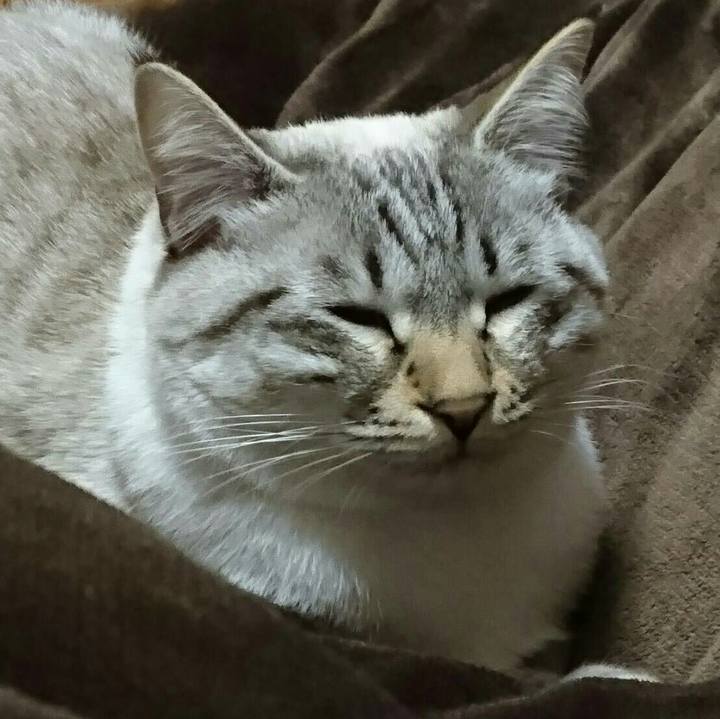 4db1010d 0bc0 4fc1 aa14 6524b278ee7f