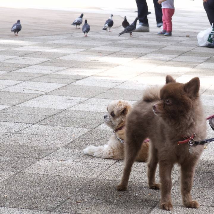 4db13e1b a72d 4b3f bf19 d501f7683e93