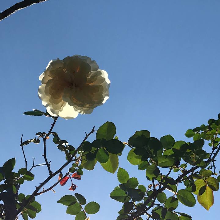 4db1d669 ac7b 478f 8a30 72042451239f