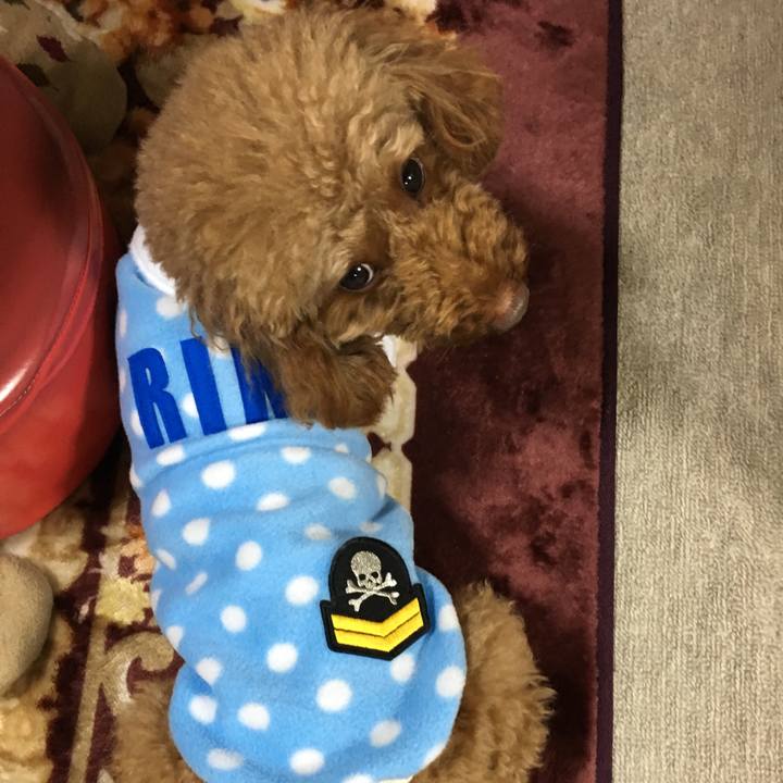 4db1ec90 63e2 423d 979f 6d2a214af062