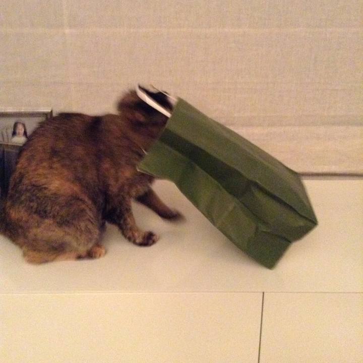 4db1f994 61f6 46f5 a290 f8d4263380d4