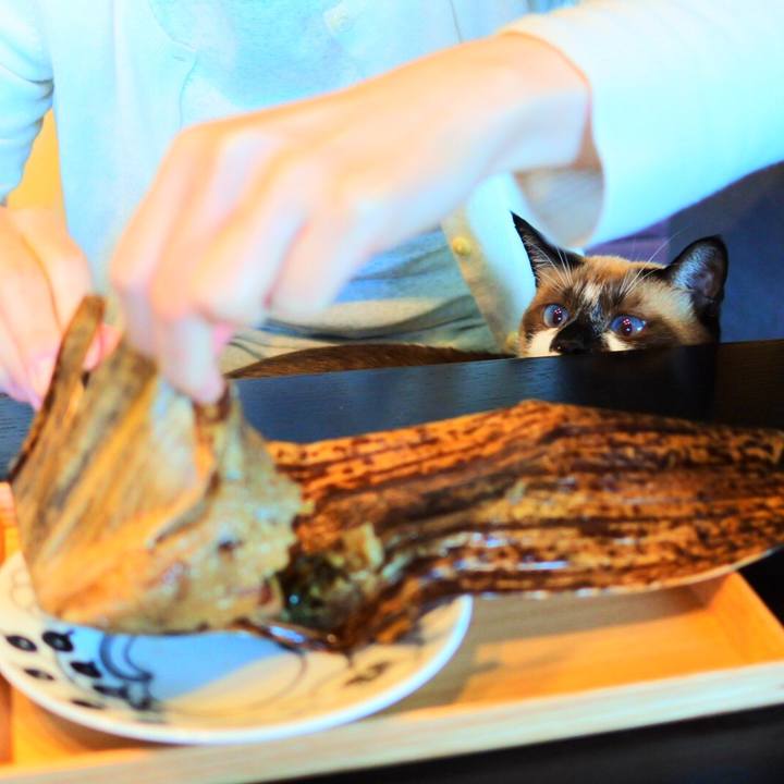 4db24f6b ef85 496a a64b f1d52e600170