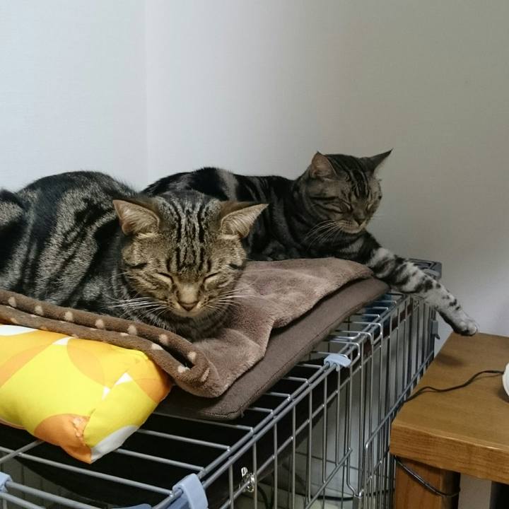 4db2bb39 ed38 4fc0 850e ef987167c0c9