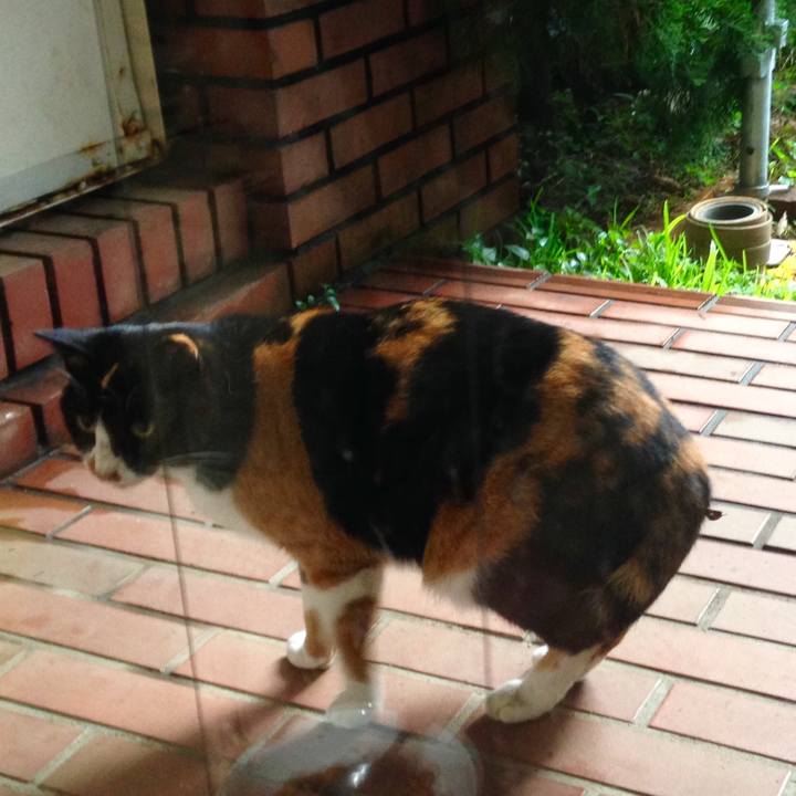 4db399c9 d564 4890 897b 2ca1659e85ec