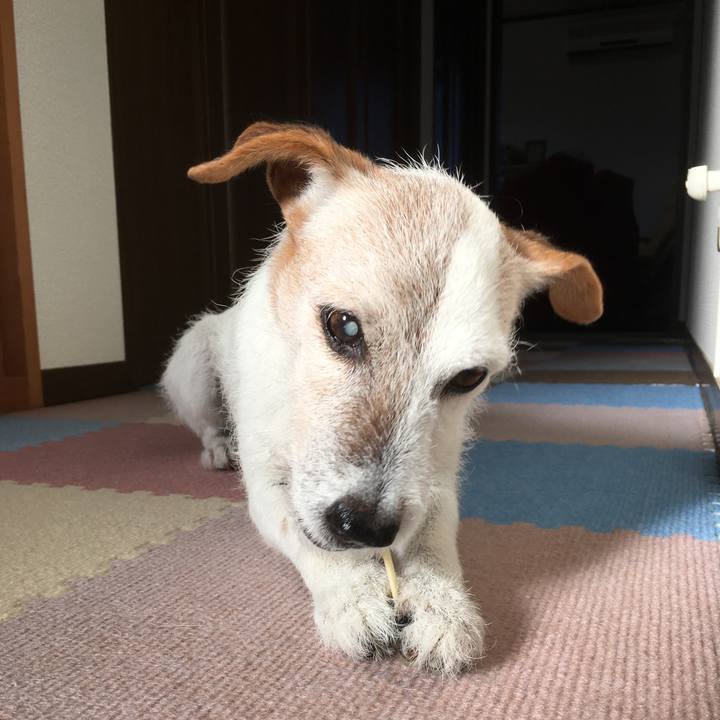 4db3fdc7 6104 4d34 819e 91649ea3ec85