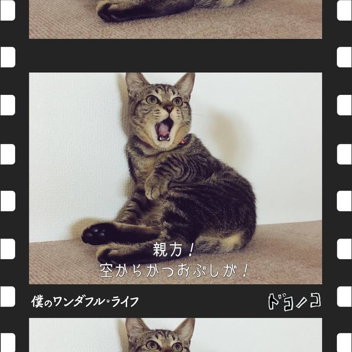 4db4df19 7108 4447 a0cf 2a51d113d694