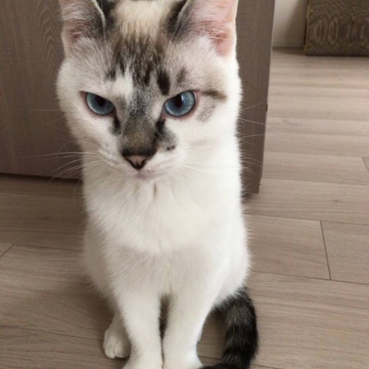 4db5271c da8d 4f31 98b7 cbfec464a0c2