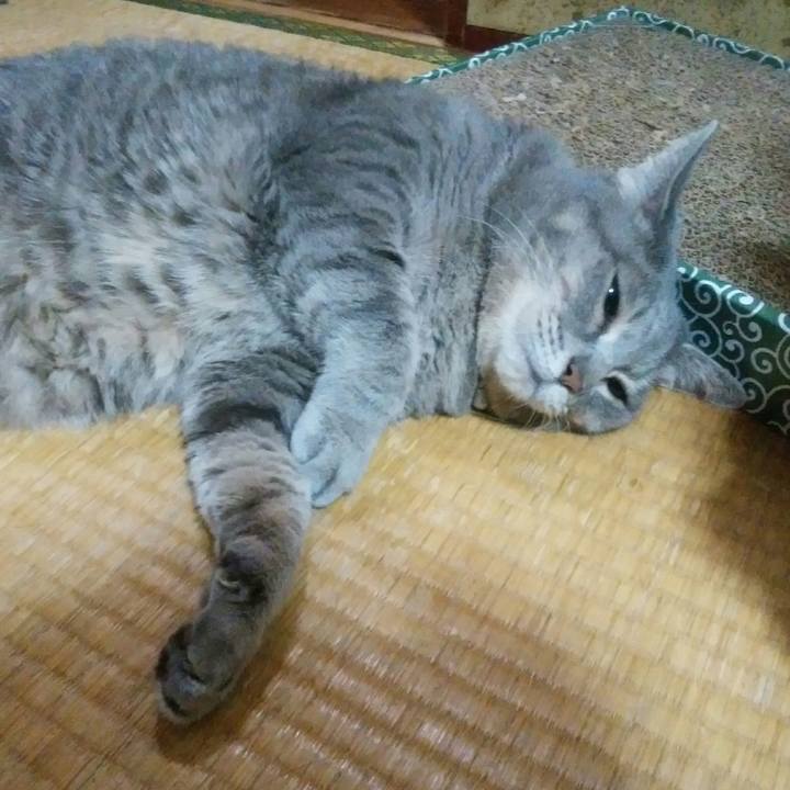 4db5370d 8dec 4564 a009 0c5006552e33