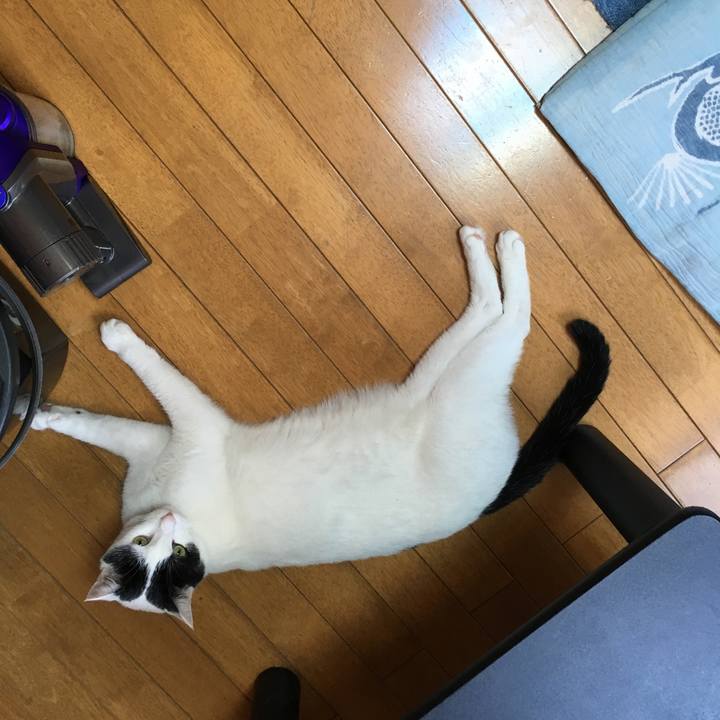 4db5608d d644 4aaf bc69 f5c9c21feef9