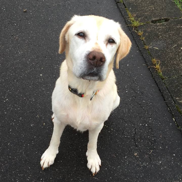 4db61269 e2ec 43f6 a3ce c71c1952a570