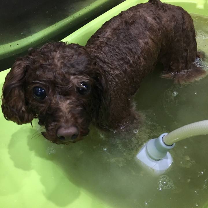 4db6601e 4e05 4dc4 a774 3a18dff0090c