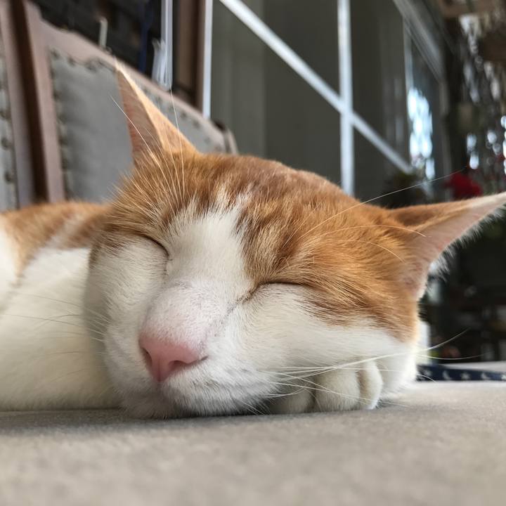 4db6f792 2f34 4fe6 b7f8 90091511eb4a