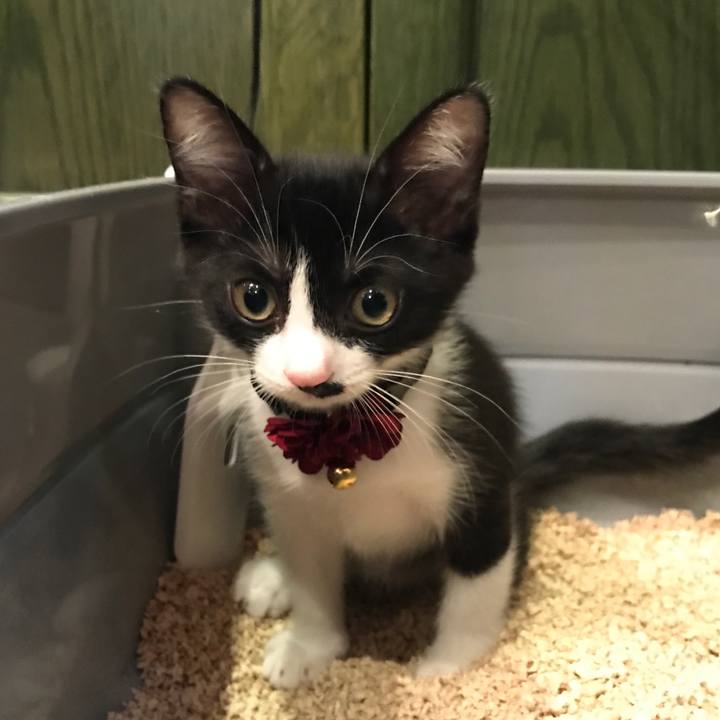 4db7438f 5af4 46ae afb3 58d9ba8d106e