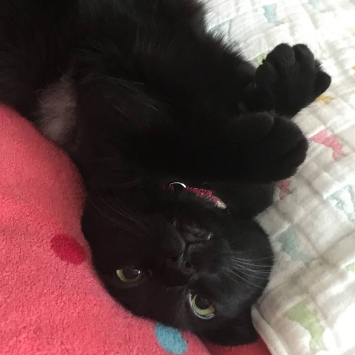 4db821f3 d51e 4301 bc08 cb4248afae84