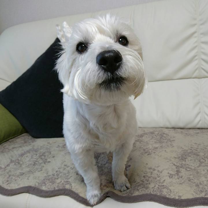 4db83176 56e7 41f4 bd57 6e6880ecd3c1