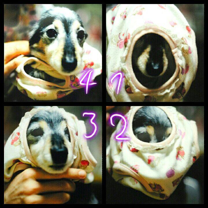 4db86eb2 d1b1 4b48 9491 d88c064a0d52