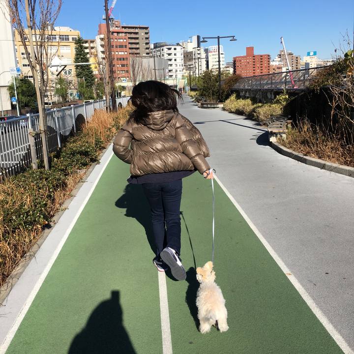 4db8af78 21b1 4d61 be49 754a84ecf8d9