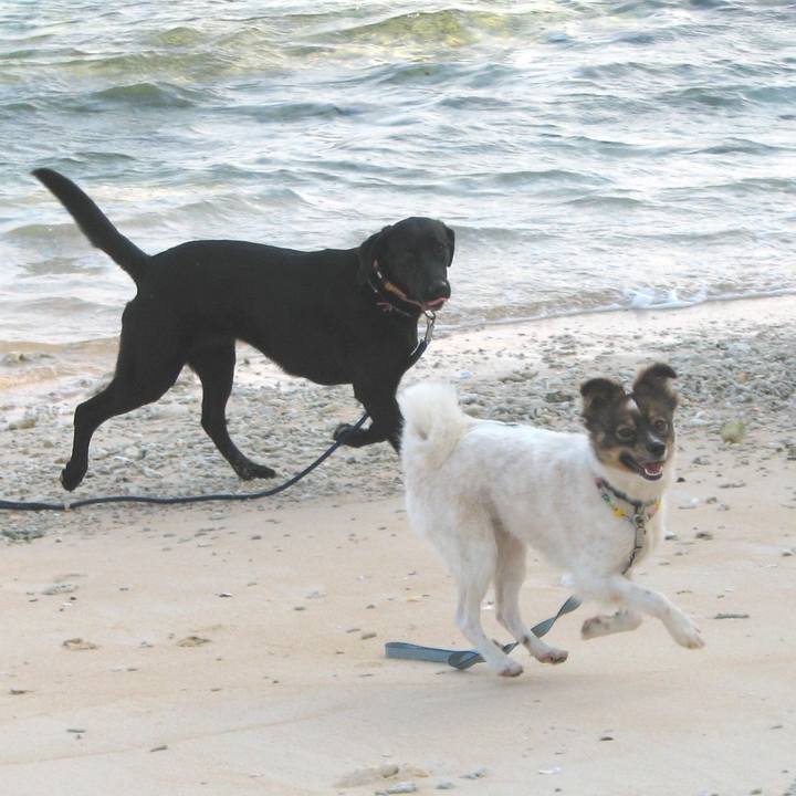 4db8f7d6 e058 4d76 a5de 1b150d69de9a