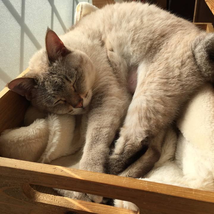 4db9543b afe4 442b 834b 976f605585f6