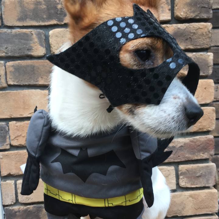 4db9c688 dcac 4b29 91fa a21f39edd6ce