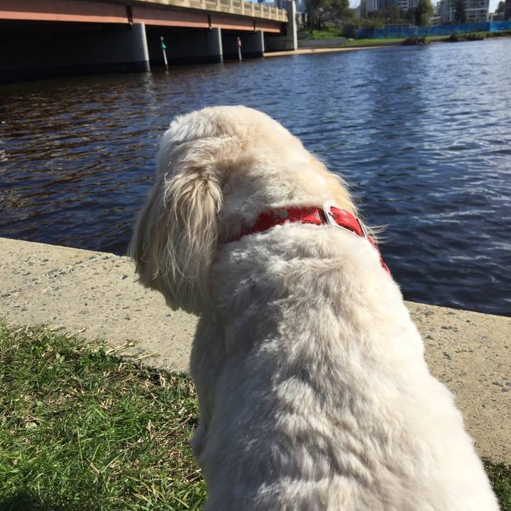 4dba8ae5 d645 42f0 843e fb25f74156cc