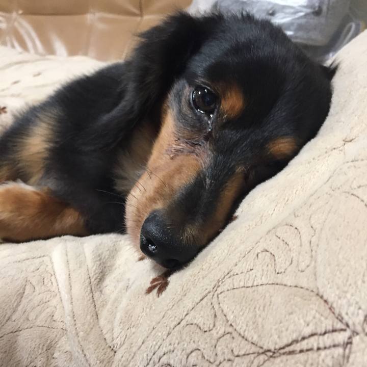 4dbac585 9db2 4a2b ab3f acd5e0afc691