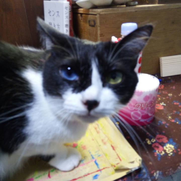 4dbaffbe e143 4762 96d8 9807fff0e8f7