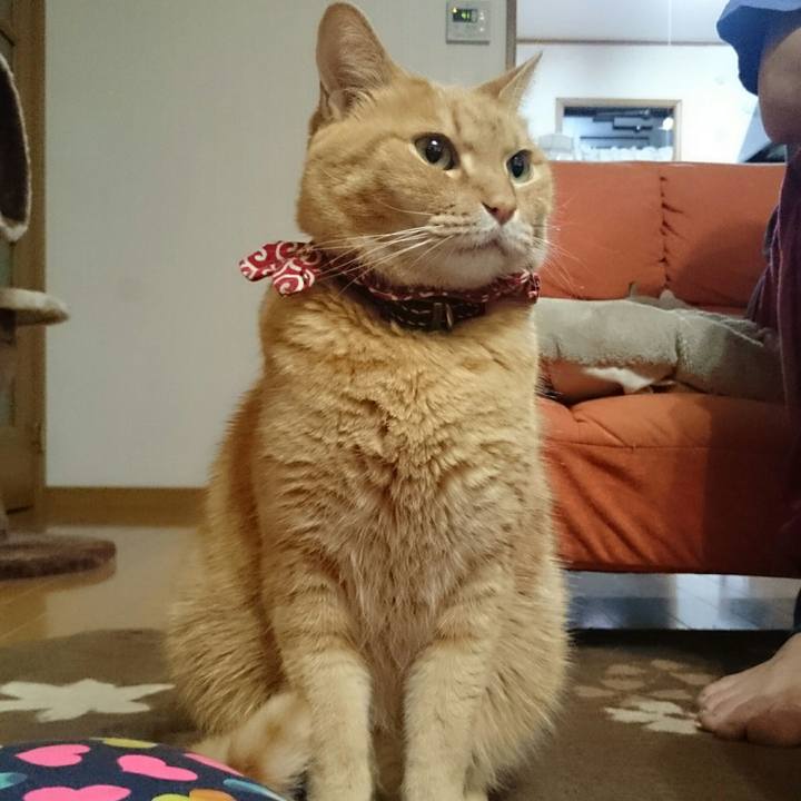 4dbb0dd3 1438 4f59 9a9e 6c166cb35f31