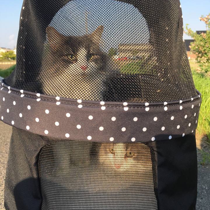 4dbb0fc4 7a86 480a 996e 0ad8752a5620