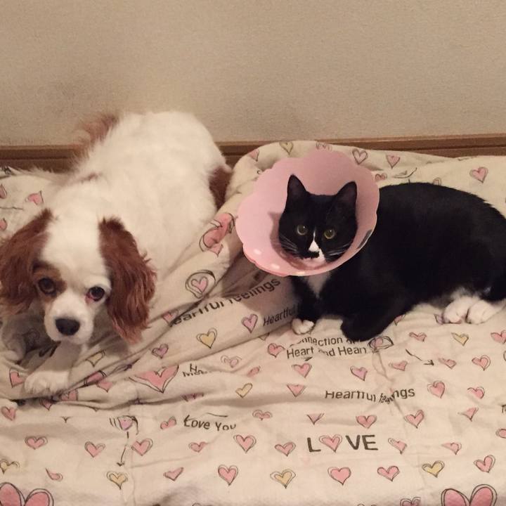 4dbb4952 5793 4dc5 8c87 83053031b26e