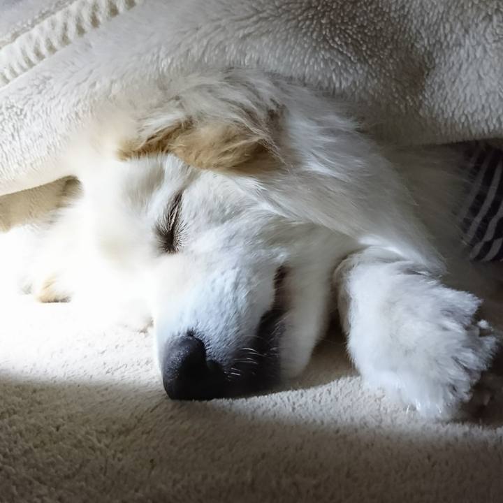 4dbc0820 5f60 43ba 97a5 f6ba11373ab2